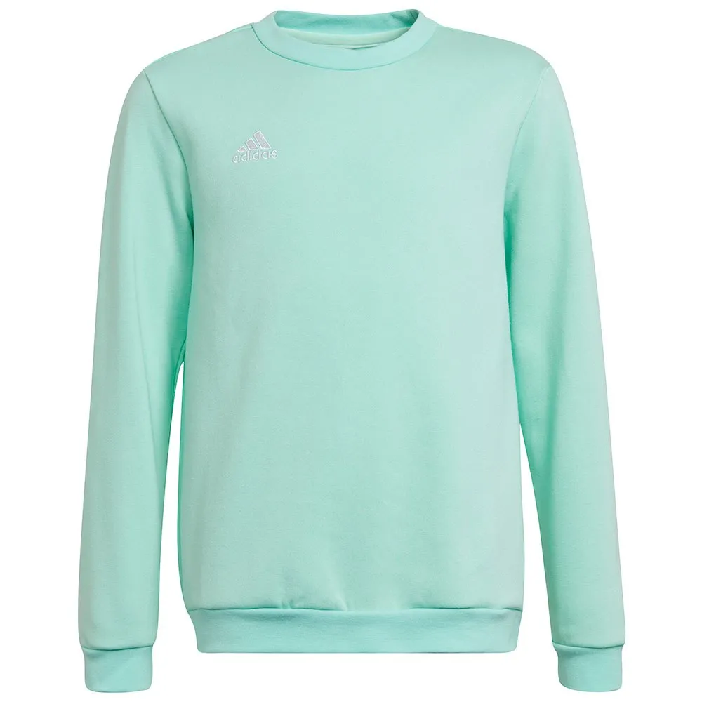 Moletom adidas Entrada 22 Stadium SW
