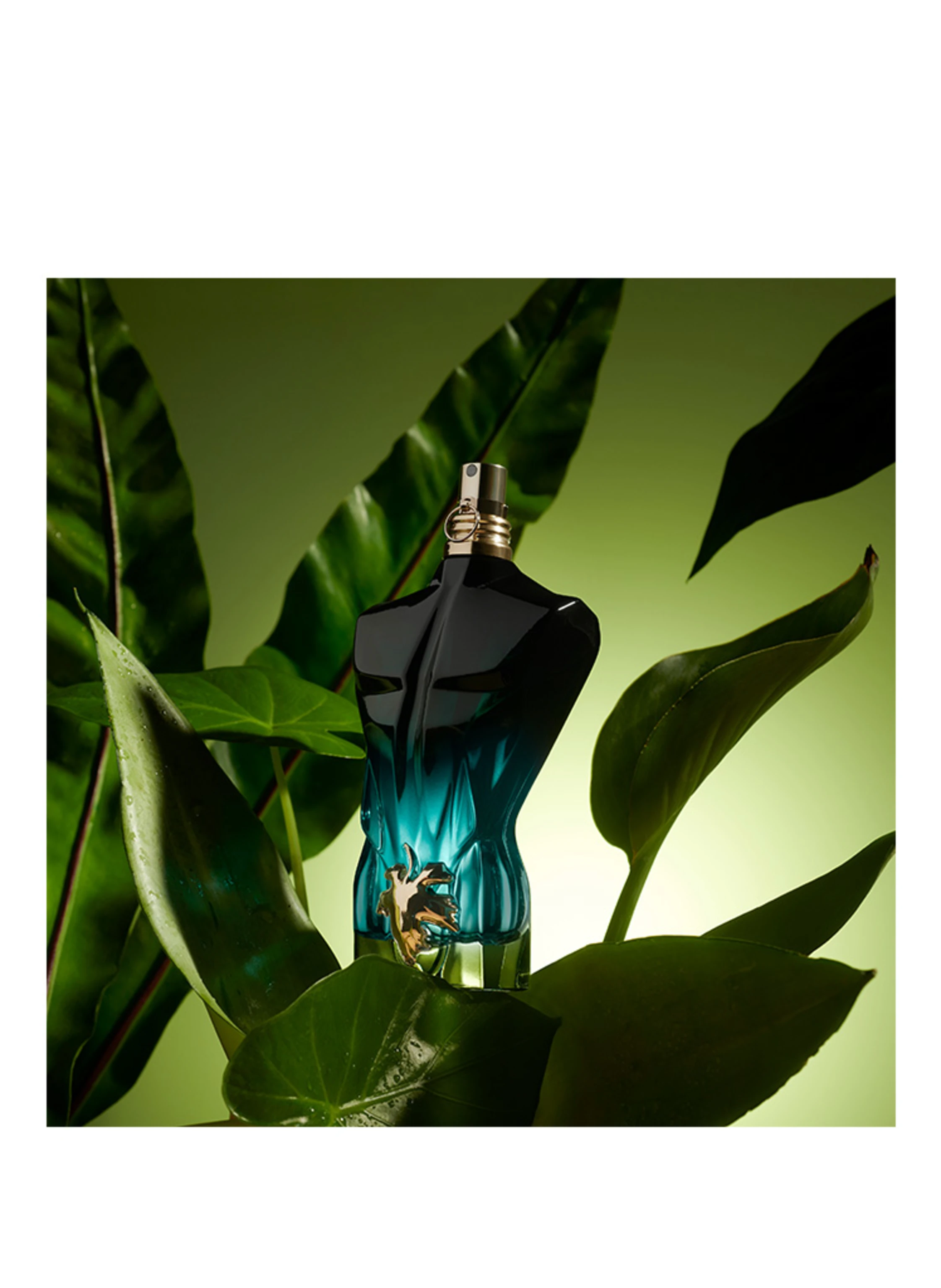 Jean Paul Gaultier LE BEAU LE PARFUM