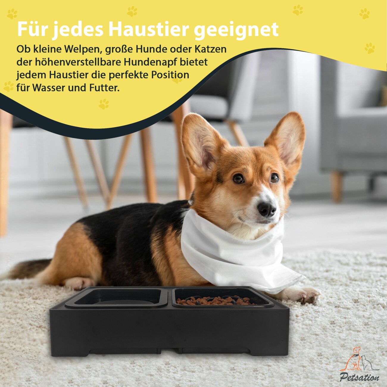 Petsation erhöhter Hundenapf Anti Schling Spritzschutz schwarz