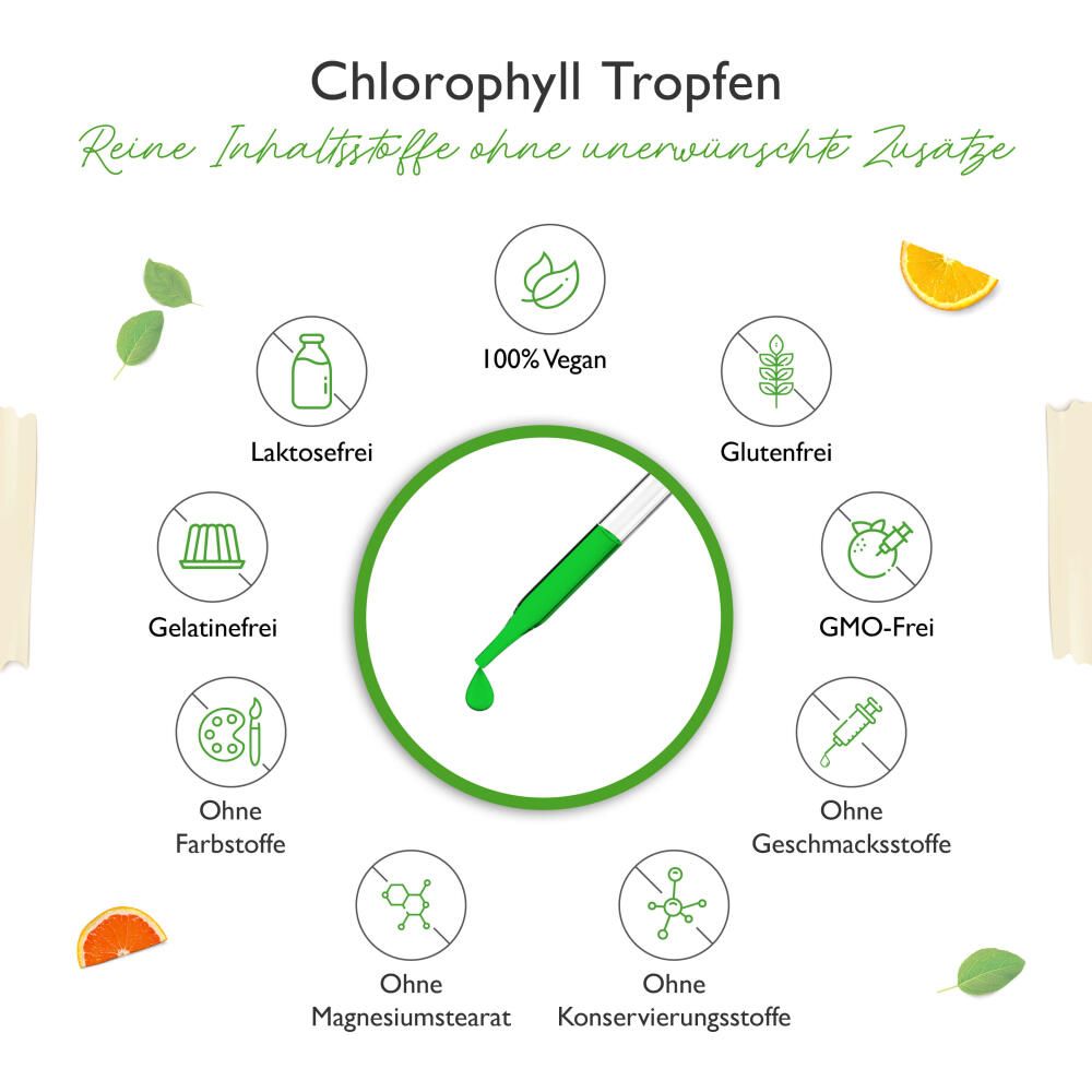 vit4ever Chlorophyll Tropfen