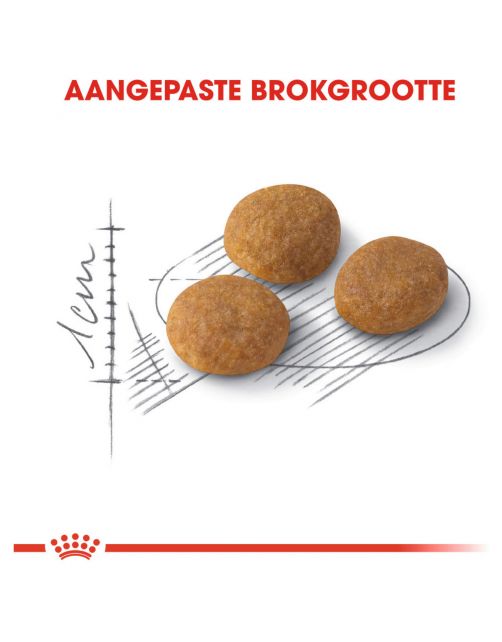 Royal Canin Aroma Exigent - Kattenvoer