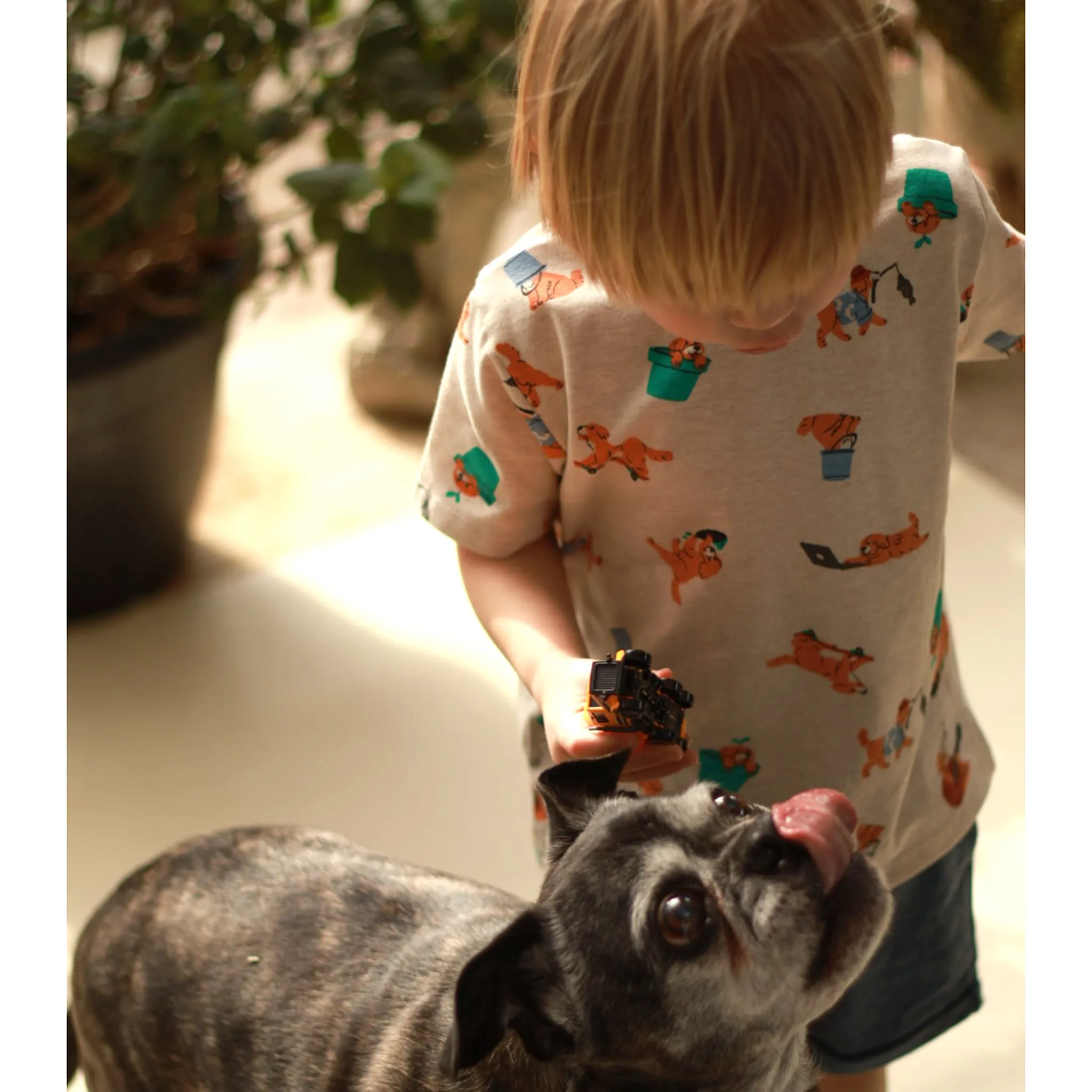 Harlo T-Shirt Chien 2-8ans