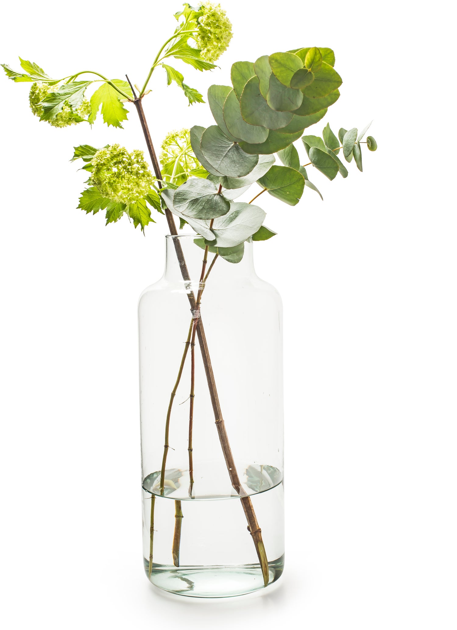Eco vaas Gigi transparant D 14,5 H 30 cm