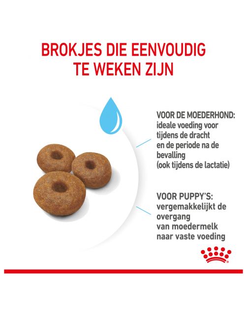 Royal Canin Maxi Starter Mother & Babydog - Puppy-Hondenvoer - 4 kg