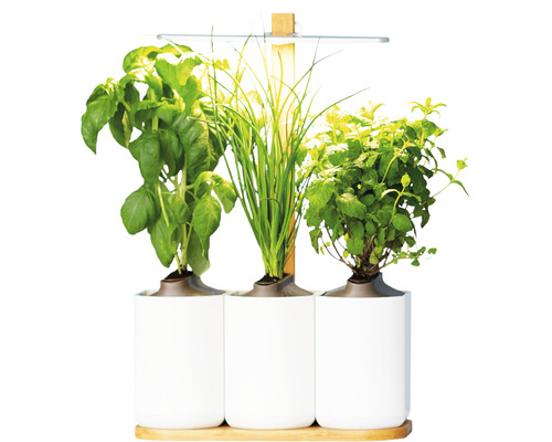 Prêt à Pousser Lilo Classic plantenbak, wit kunststof, inclusief 3 potten en 3 capsules