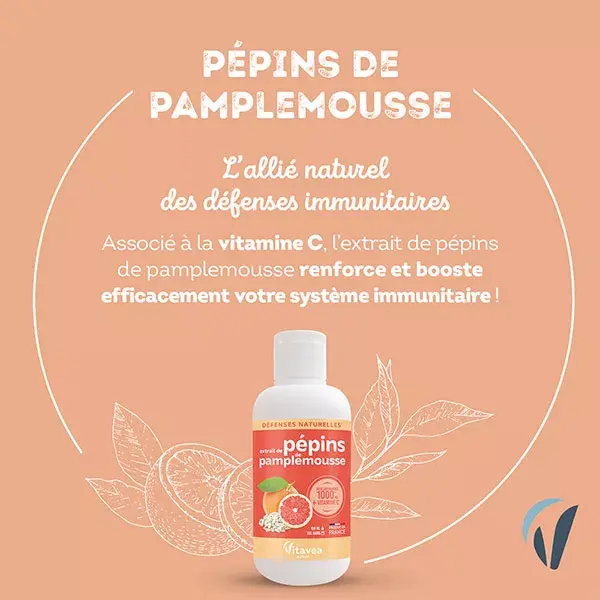 Vitavea Extrato de Semente de Toranja e Vitamina C Defesas Naturais 100ml