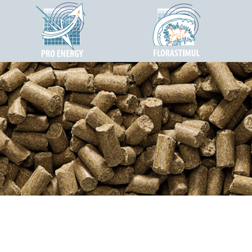 Cavalor Action Pellet