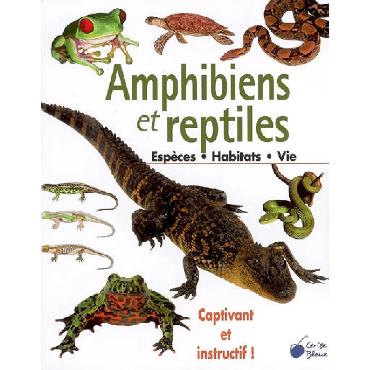 Amphibiens et reptiles : espèces, habitats, vie · Occasion