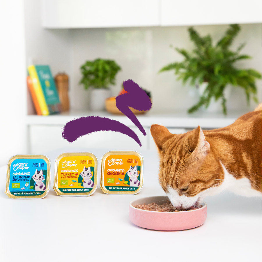 Frango orgânico para gatos adultos Edgard & Cooper em patê.