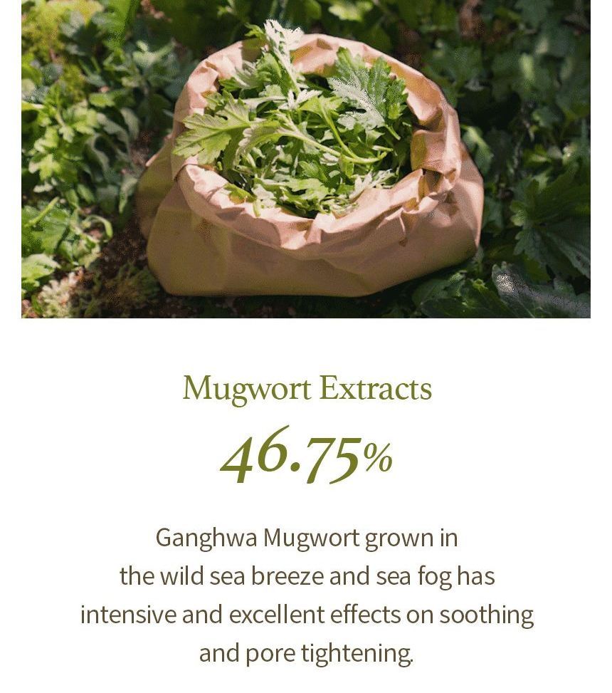 Ik kom uit - Mugwort Feminine Wash