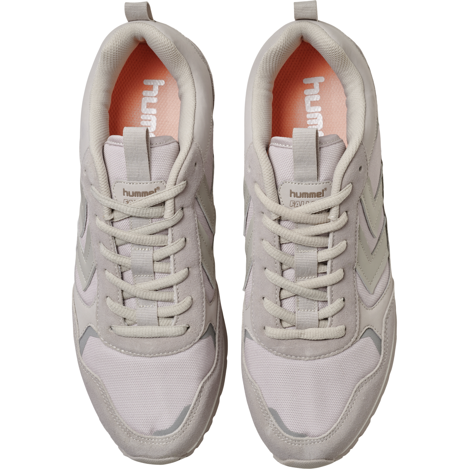 FALLON TONAL
