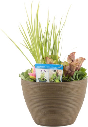 Terrasvijver met waterplanten roest D 40 H 35 cm
