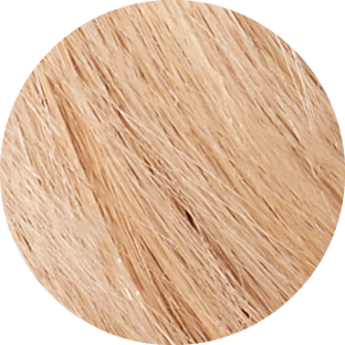 Tints of Nature 10XL Extra Light Blonde 1ST