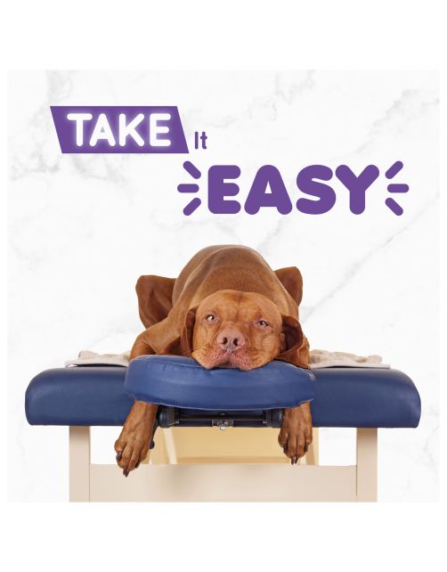 Plenty Gifts Kaart Take It Easy - Cadeau - 13.7x13.7 cm