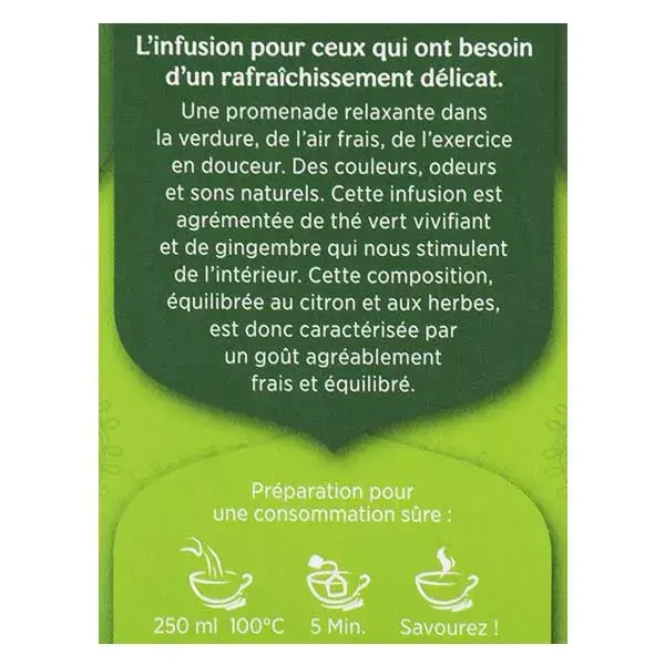 Chá Verde Yogi Tea com Gengibre e Limão - 17 sachês