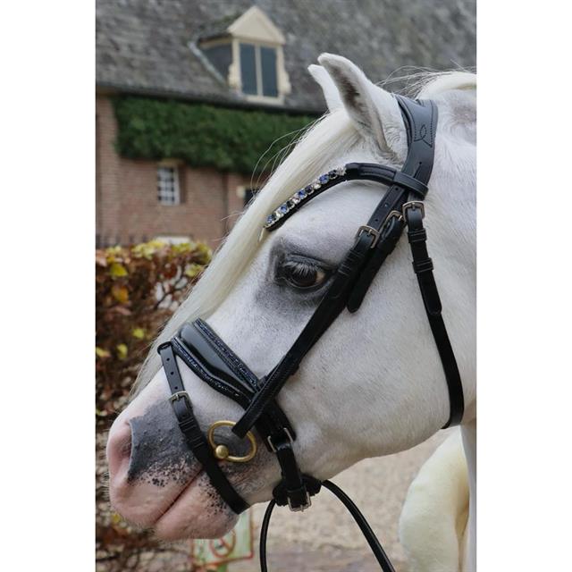 Hoofdstel HB Showtime Special A-Pony Zwart-blauw