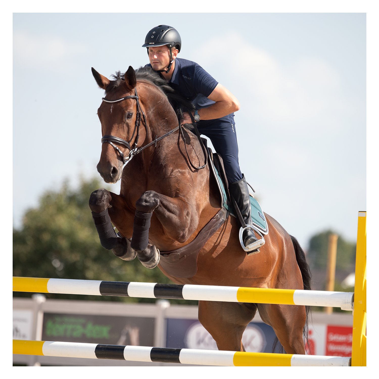 ARIAT Poloshirt Norco - navy