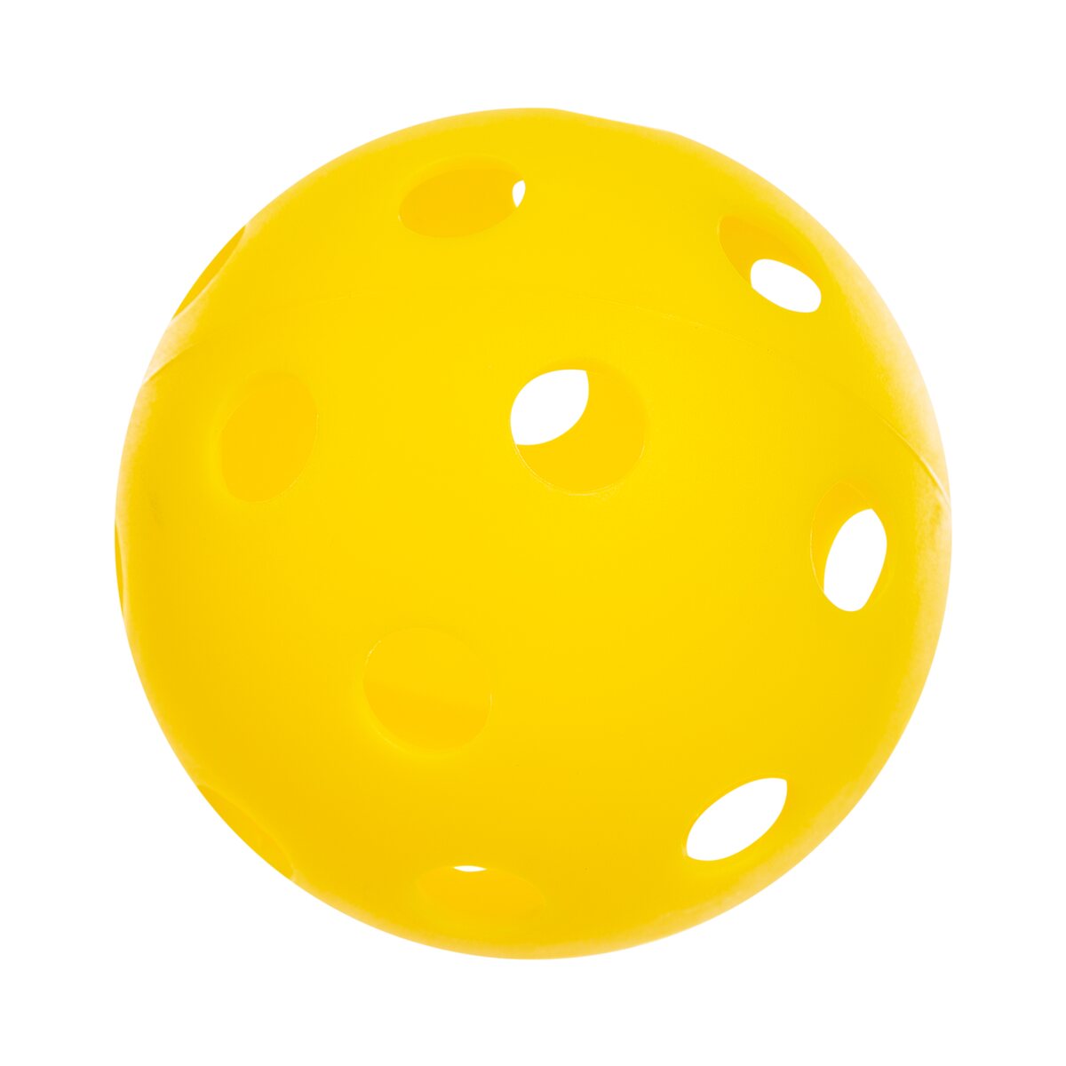 Fun Zone Pickleball Sæt