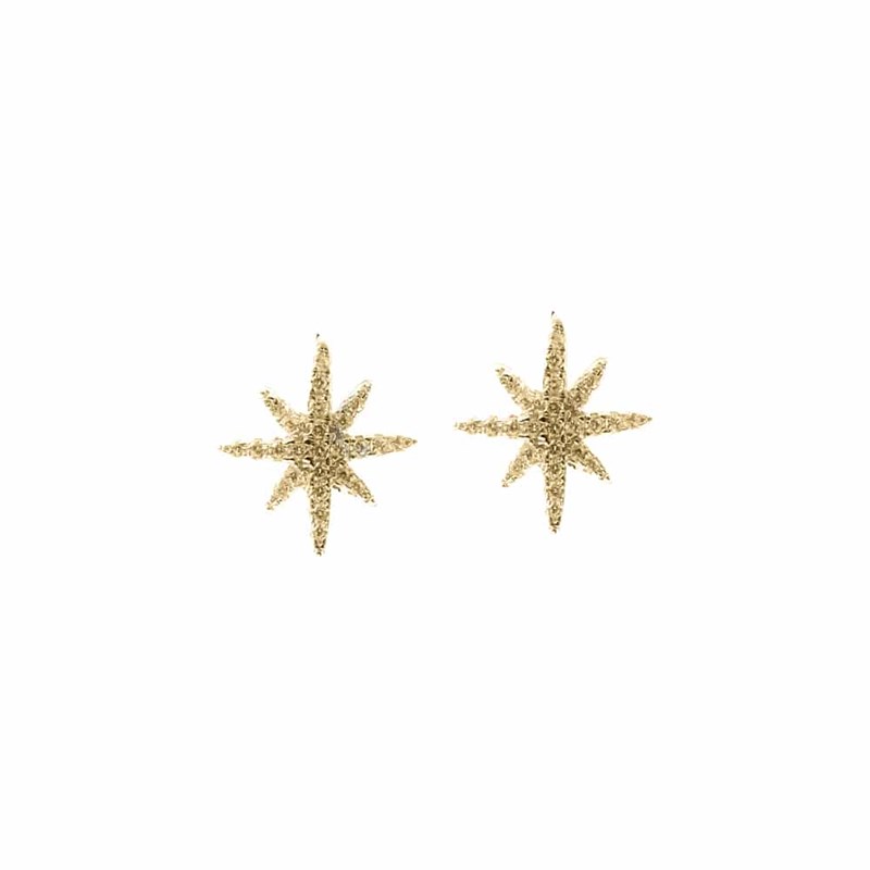 Boucles D'oreilles Argent Dore Petite étoile  Serti
