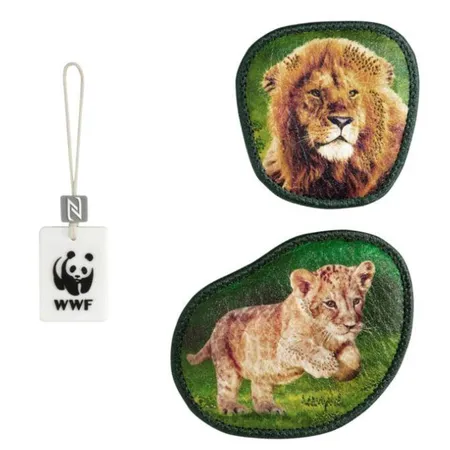 Step by Step MAGIC MAGS WWF, 
