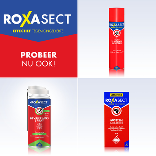 Roxasect Mottenpapier 2ST