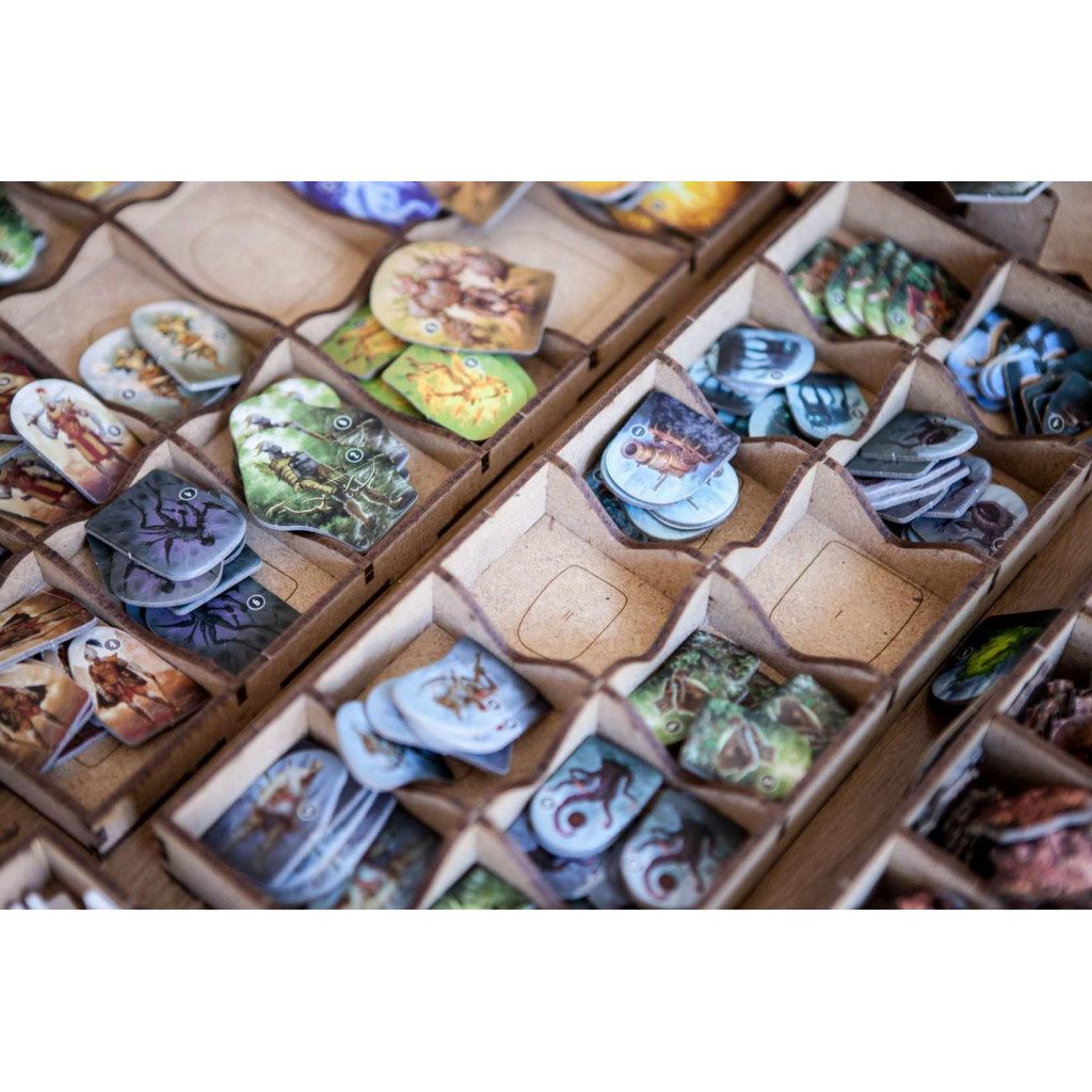 Rangement pour Boîte Dicetroyers - Gloomhaven