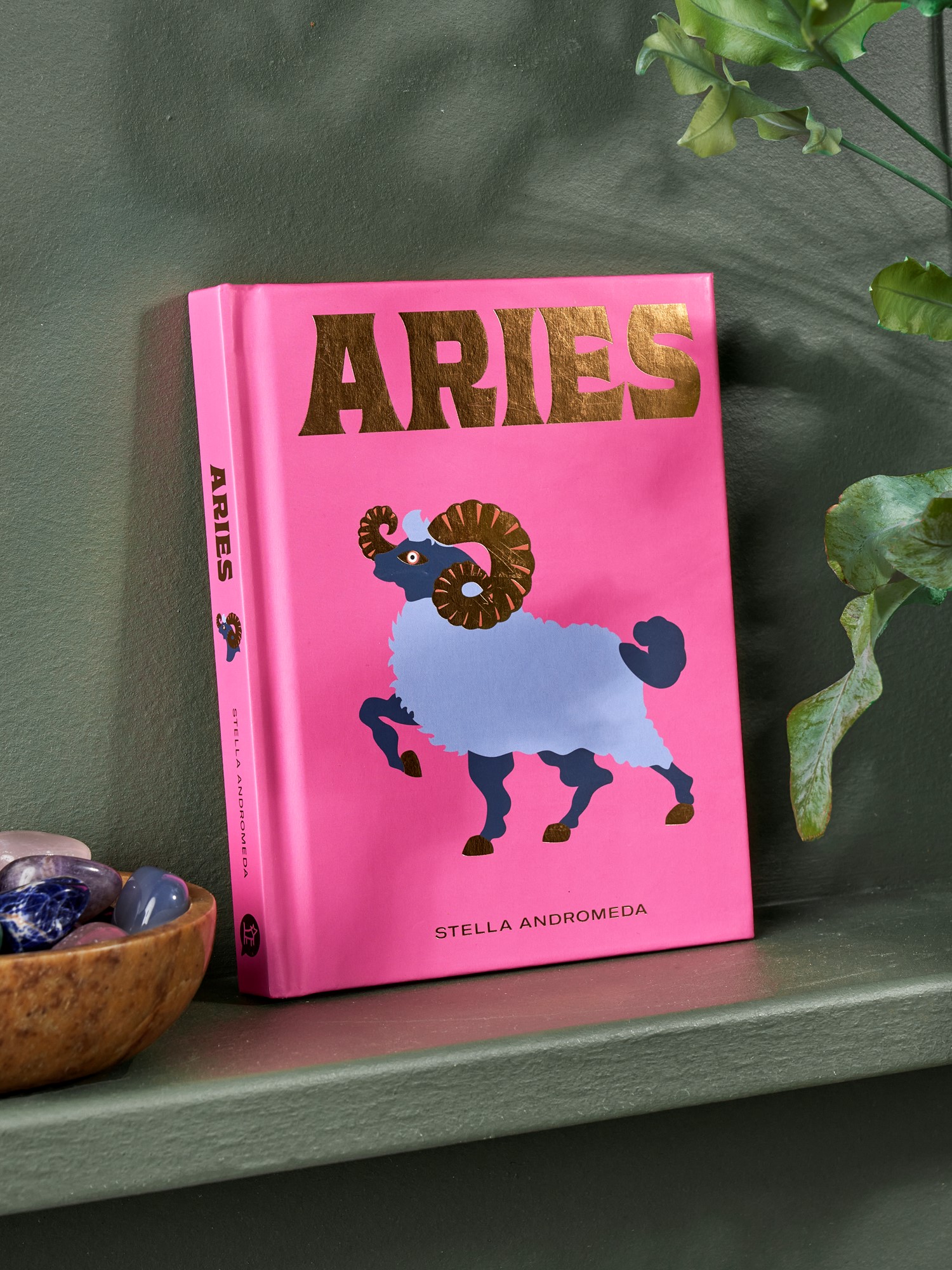 Aries | Hardcover. Engelsk. 12,5 x 1,5 x 16 cm. 112 sider. | Coral | New Mags