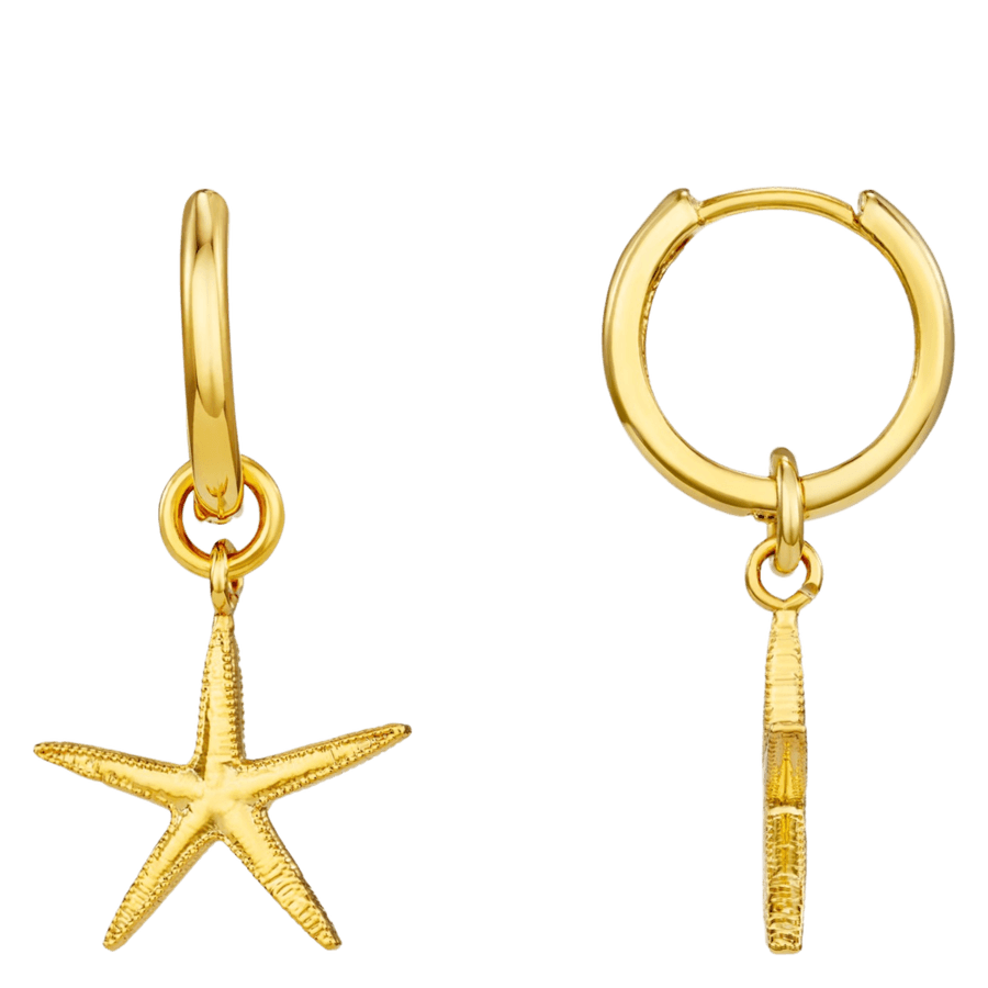 Orelia Jewellery Starfish Huggie Hoops