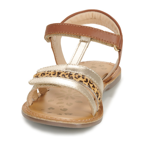 Kickers - DIAMANTO - Camel / Doré / Leopard
