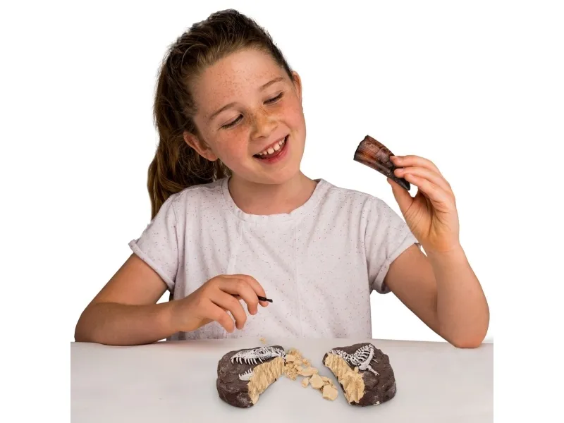 National Geographic Dinosaur Dig Kit
