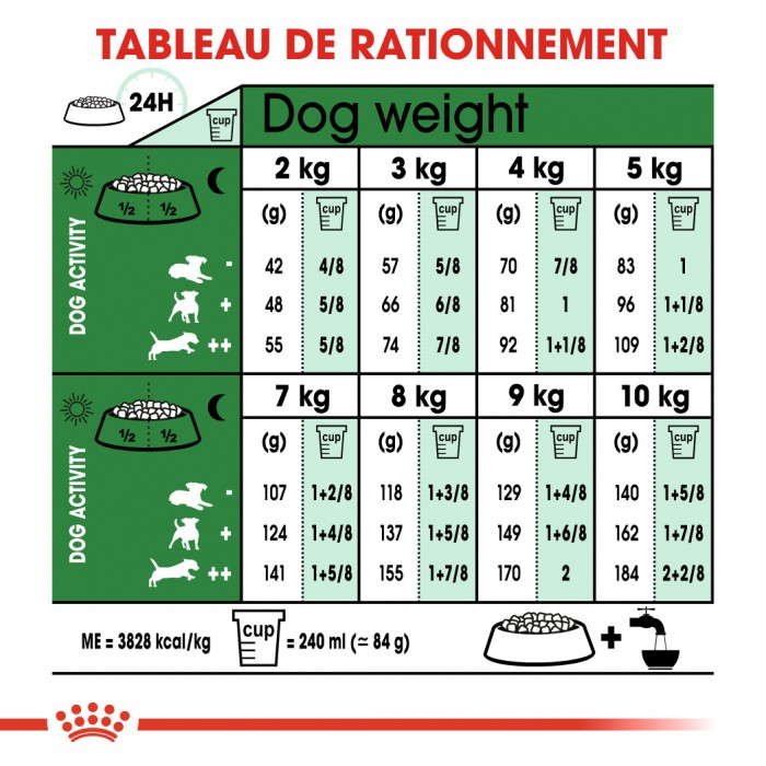 Royal Canin Mini Ageing 12+  - Croquettes pour chien