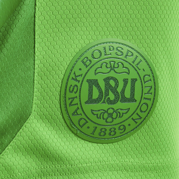 Hummel DBU Danmark målmandsshorts 22 Grøn