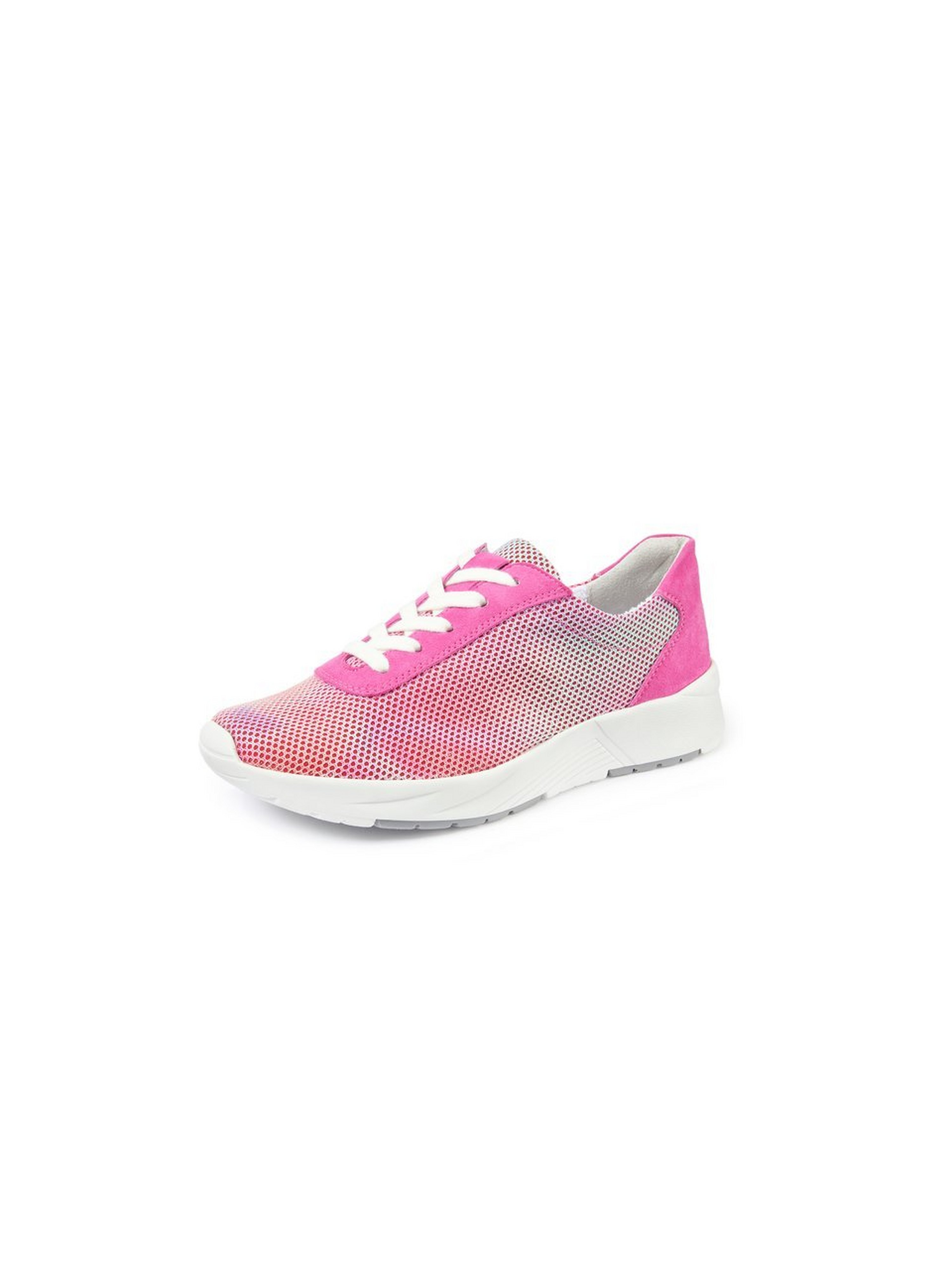 Sneaker Siggi