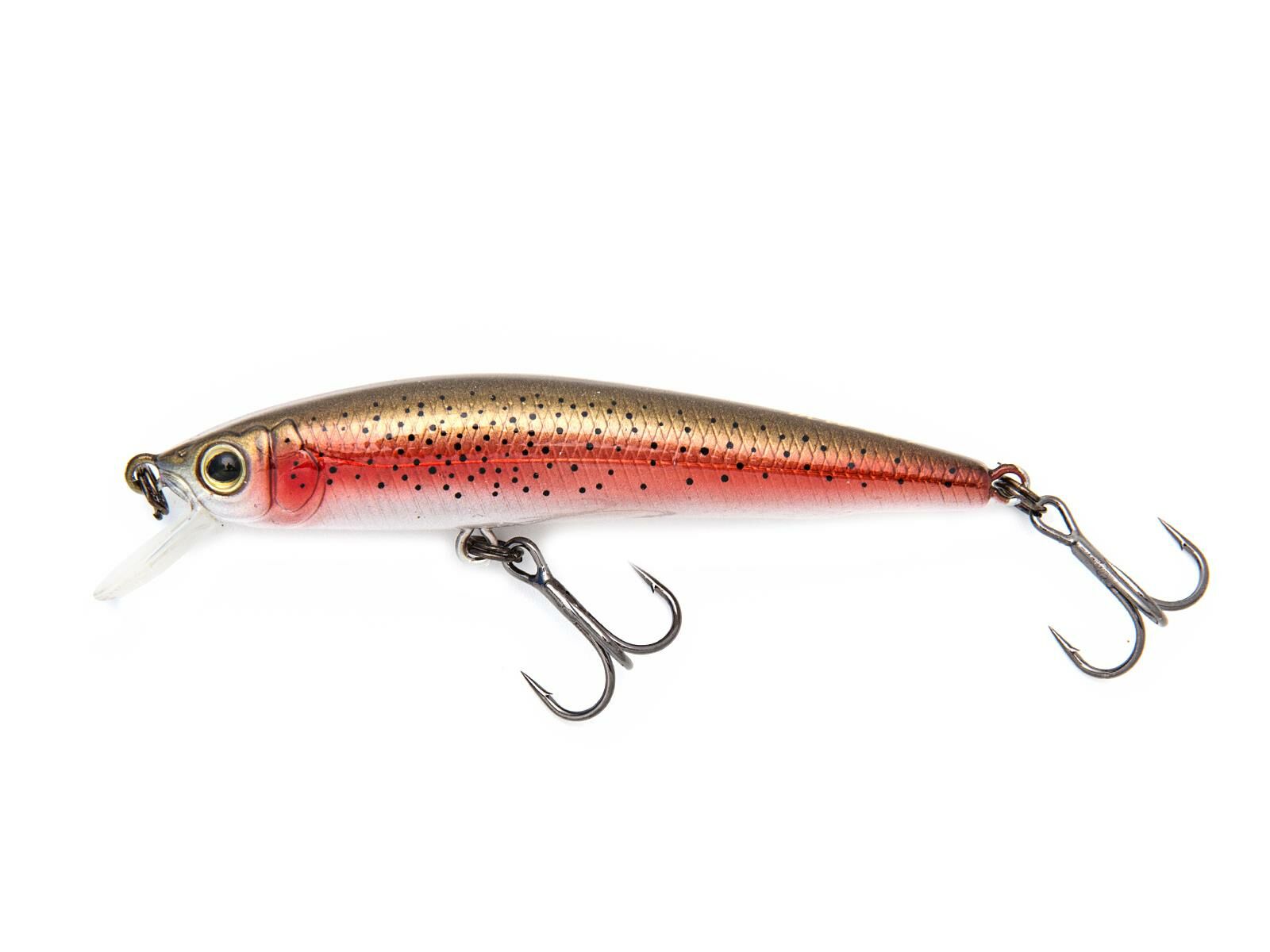 MW 62F (375) Brown Trout