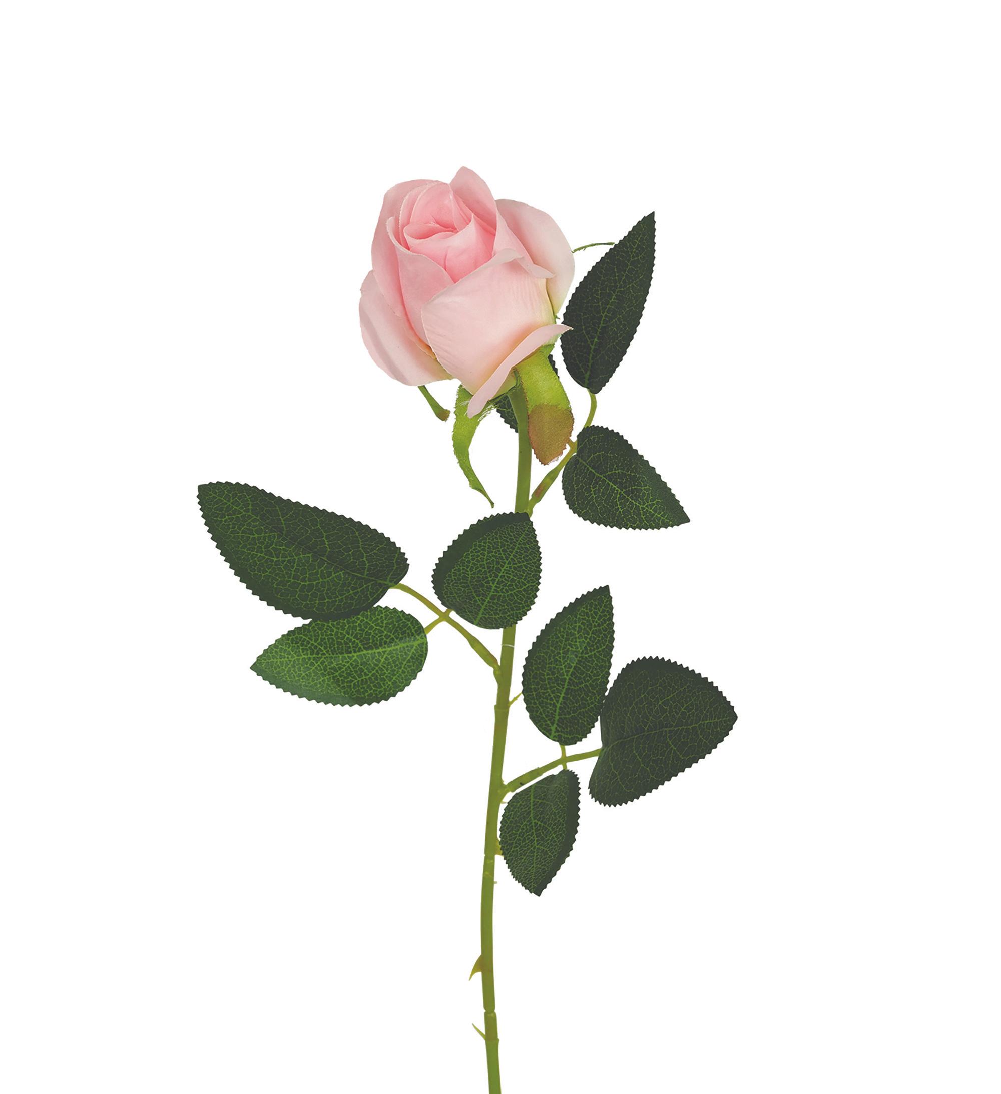 TIGE BOUTON ROSE H.63CM ROSE