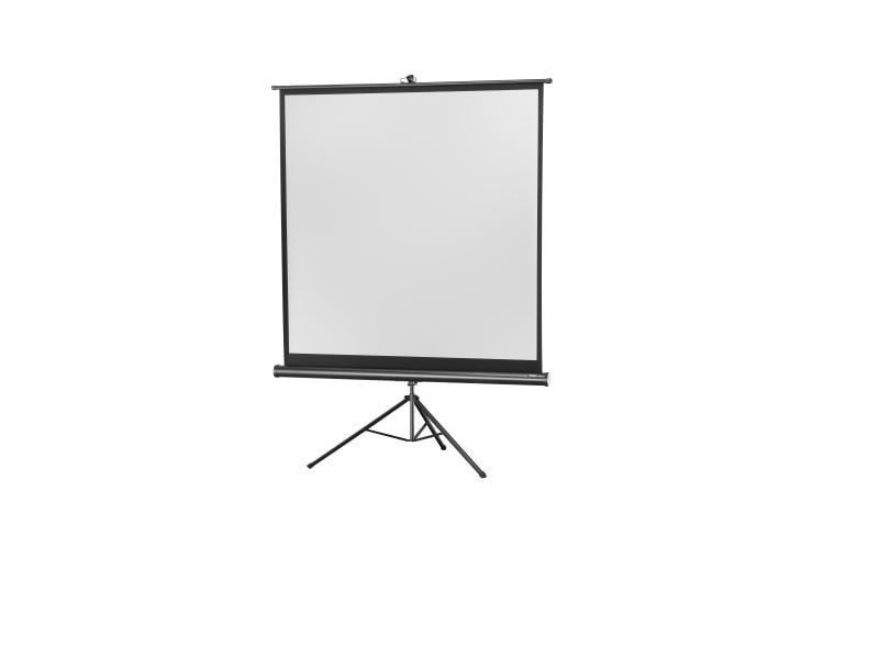 Celexon Stativleinwand Eco 133x133cm 1:1 Stativleinwand Economy 133 x 133 cm