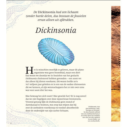 Uitgeverij lannoo het dikke boek van alle bijzondere dino's