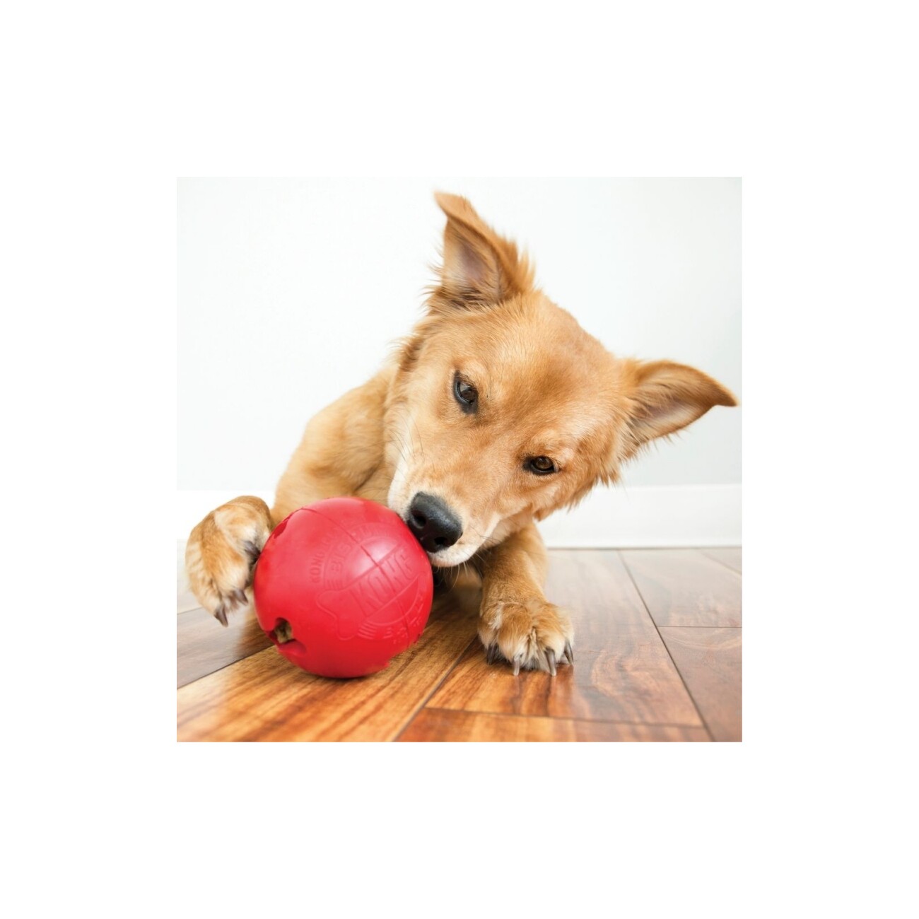 KONG Biscuit Snack-Ball L