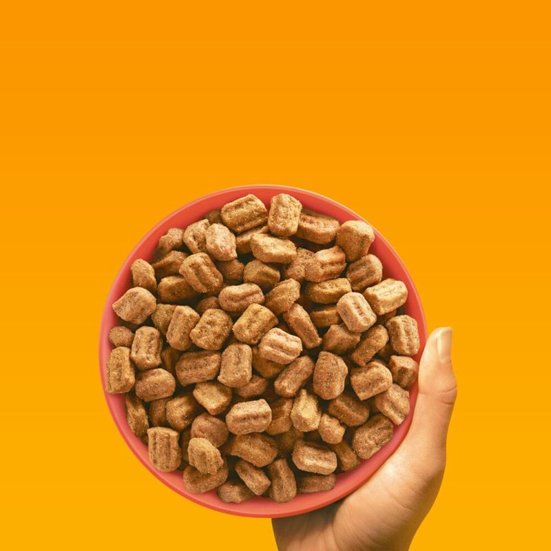Pedigree Professional Nutrition Adult bœuf, légumes