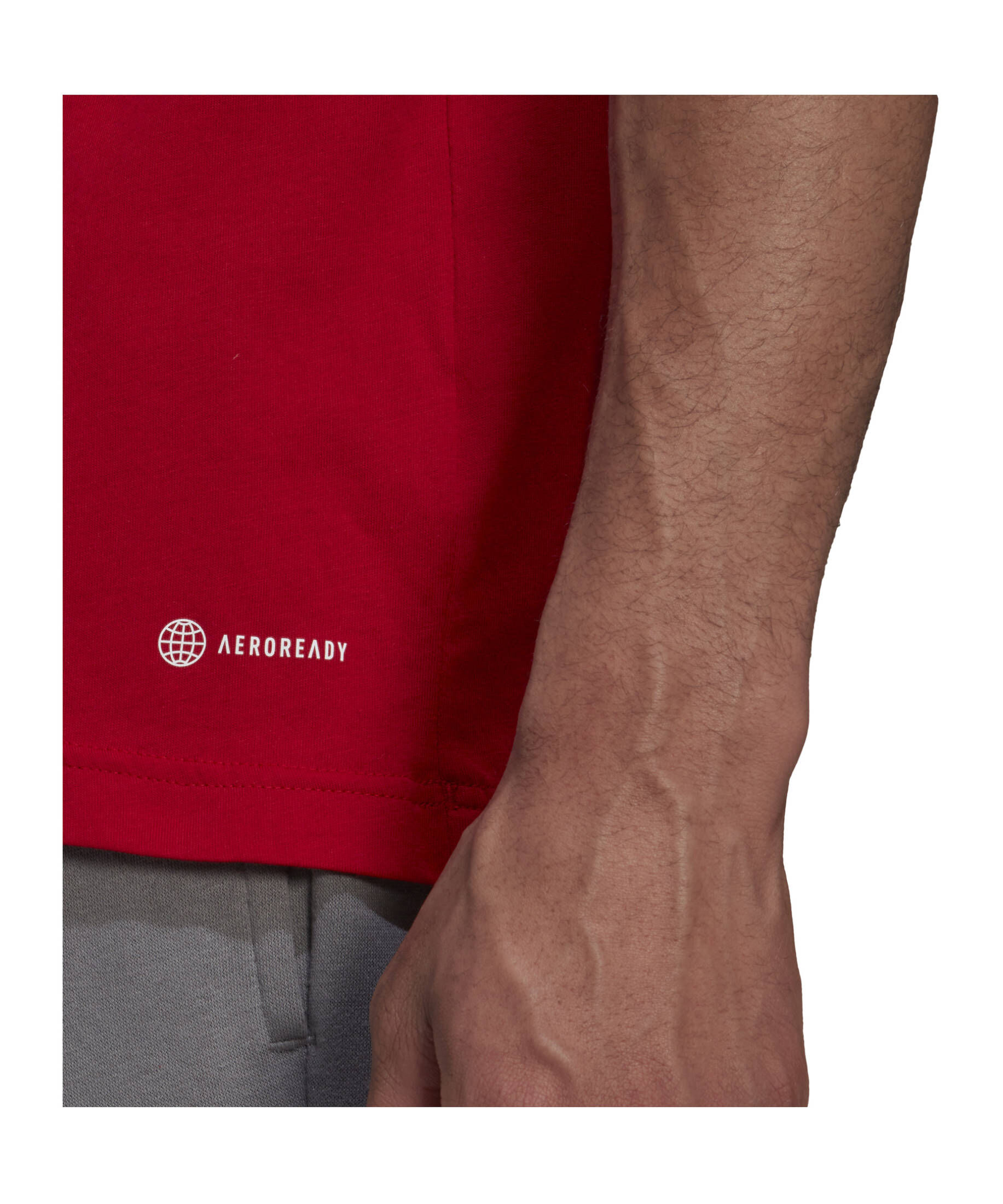 adidas Performance| Herren Fußball - Teamsport Textil - T-Shirt Entrada 22