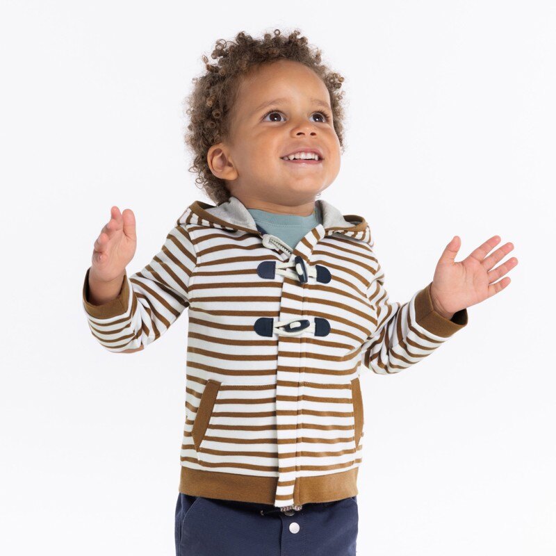 Sweat zippé à capuche molleton rayé marron bébé garçon Marron