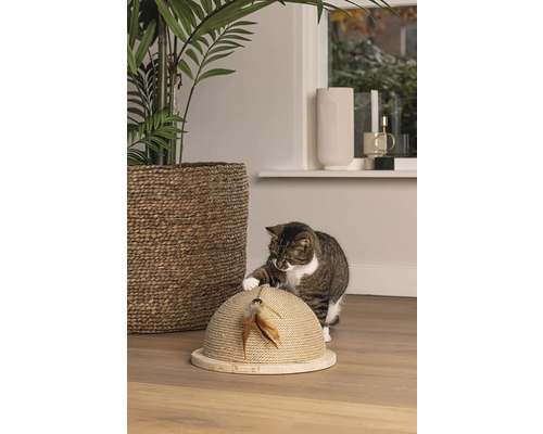 Krabmeubel ontworpen door Lotte, halve krabbal Vivi, 34,5 x 18,5 x 34,5 cm, sisal, hout