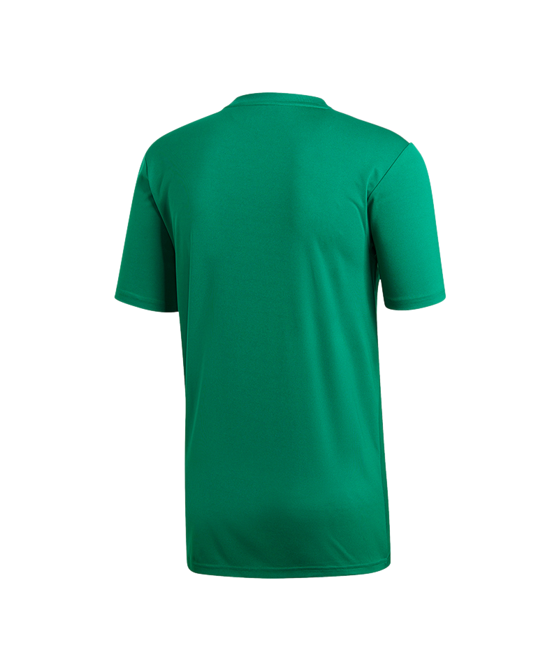 adidas Campeon 19 Trikot Grün Weiss