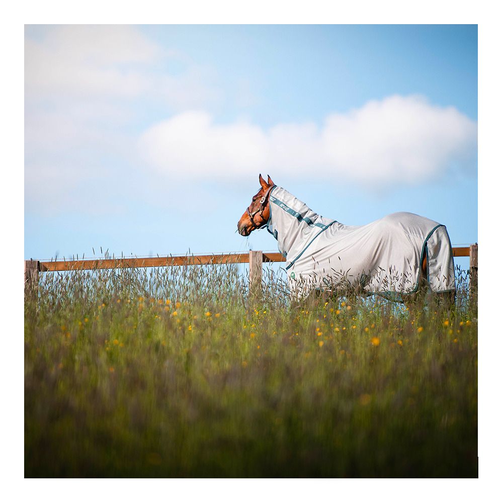 Horseware AMECO BUG RUG - Chemise anti-mouches + couvre-cou silver/teal