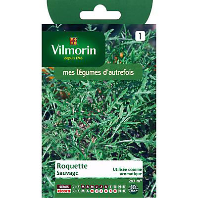 Graines de Roquette Sauvage