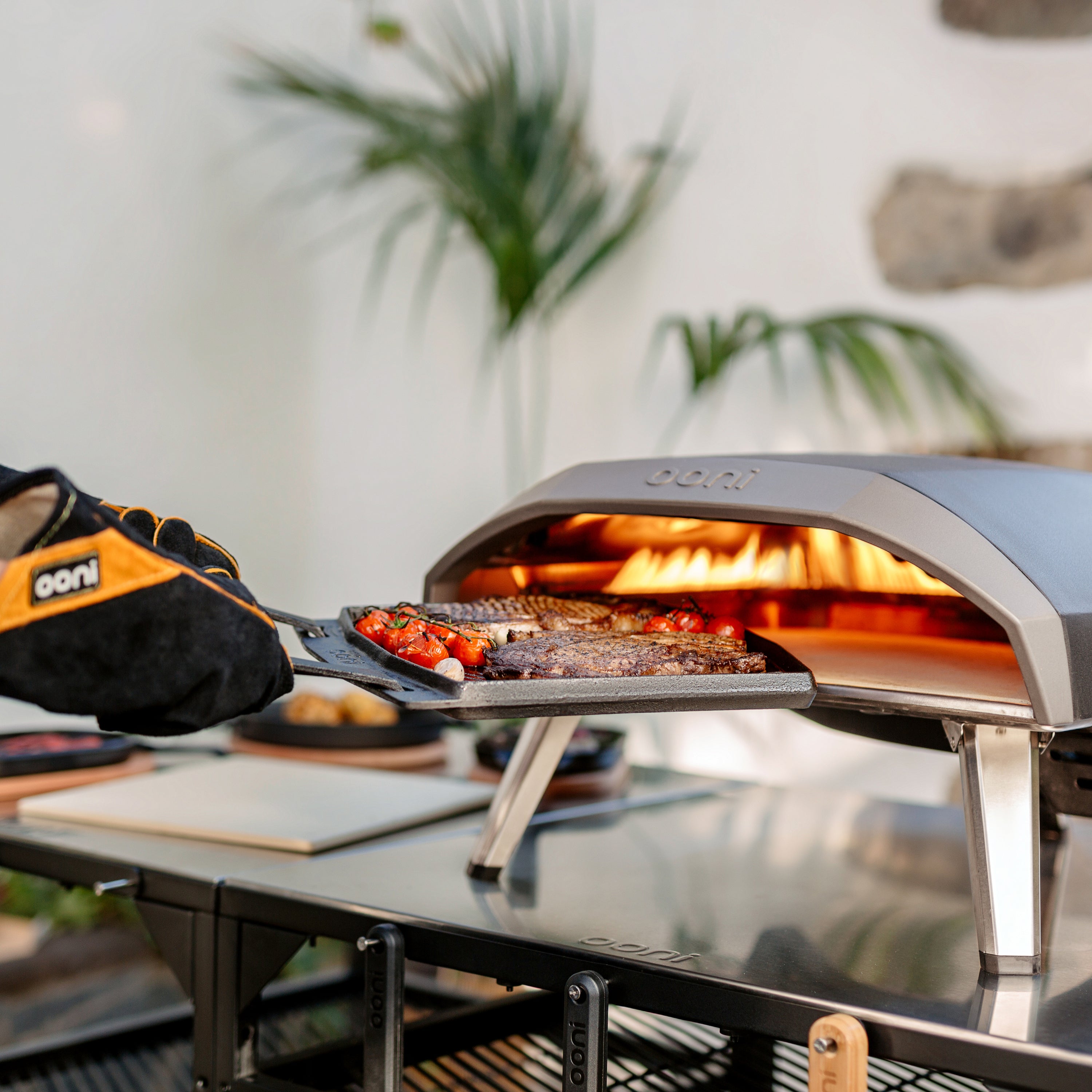 Ooni Pizzaoven Koda voor Pizza's tot Ã 30 cm - Gas Gestookt - 37 mbar