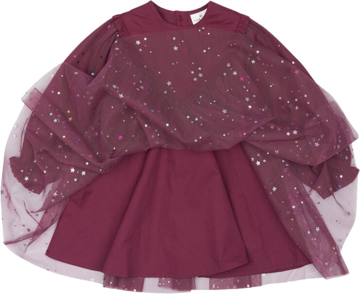 The New TNSMibby L_S Dress Crushed berry