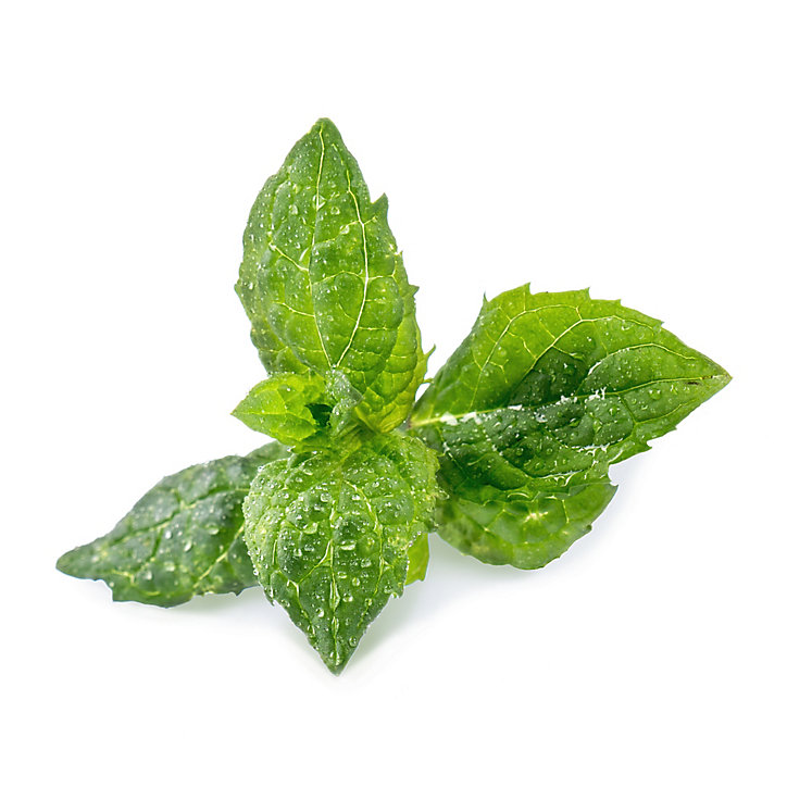 Lingot® Menthe verte pour potager Véritable®