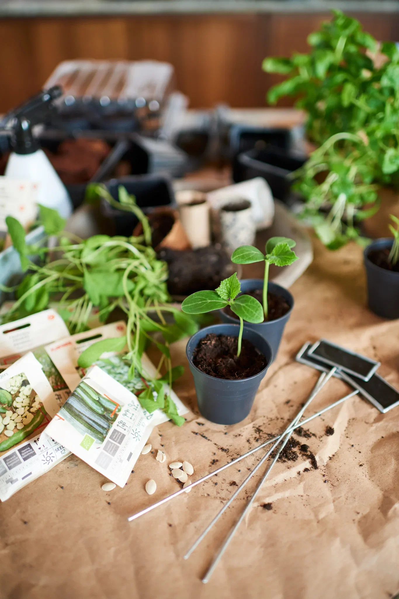 Plantagen Planteetikett Tyra med tavle Høyde 29 cm