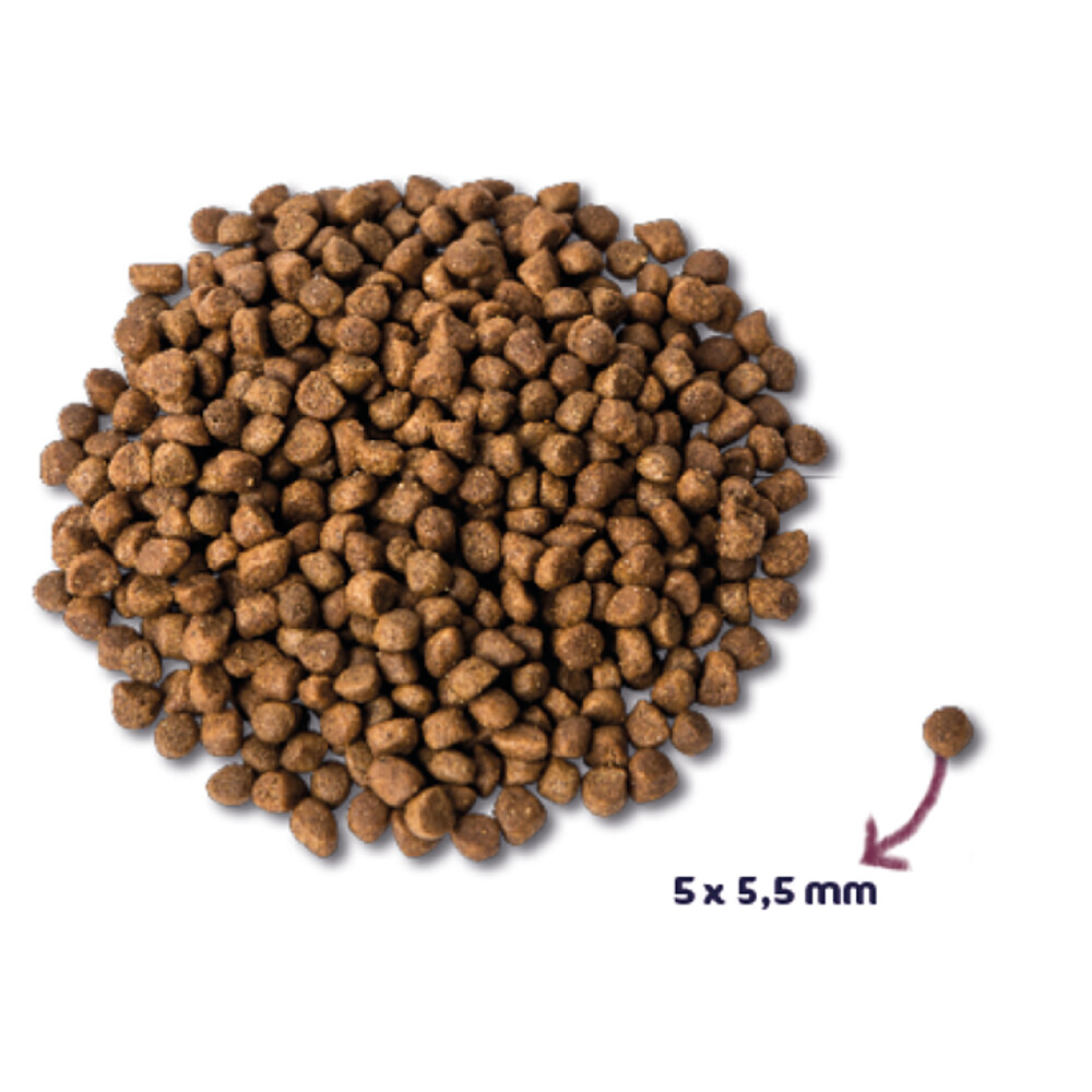 Renske Super Premium Kitten Kalkoen & Kip6 kg